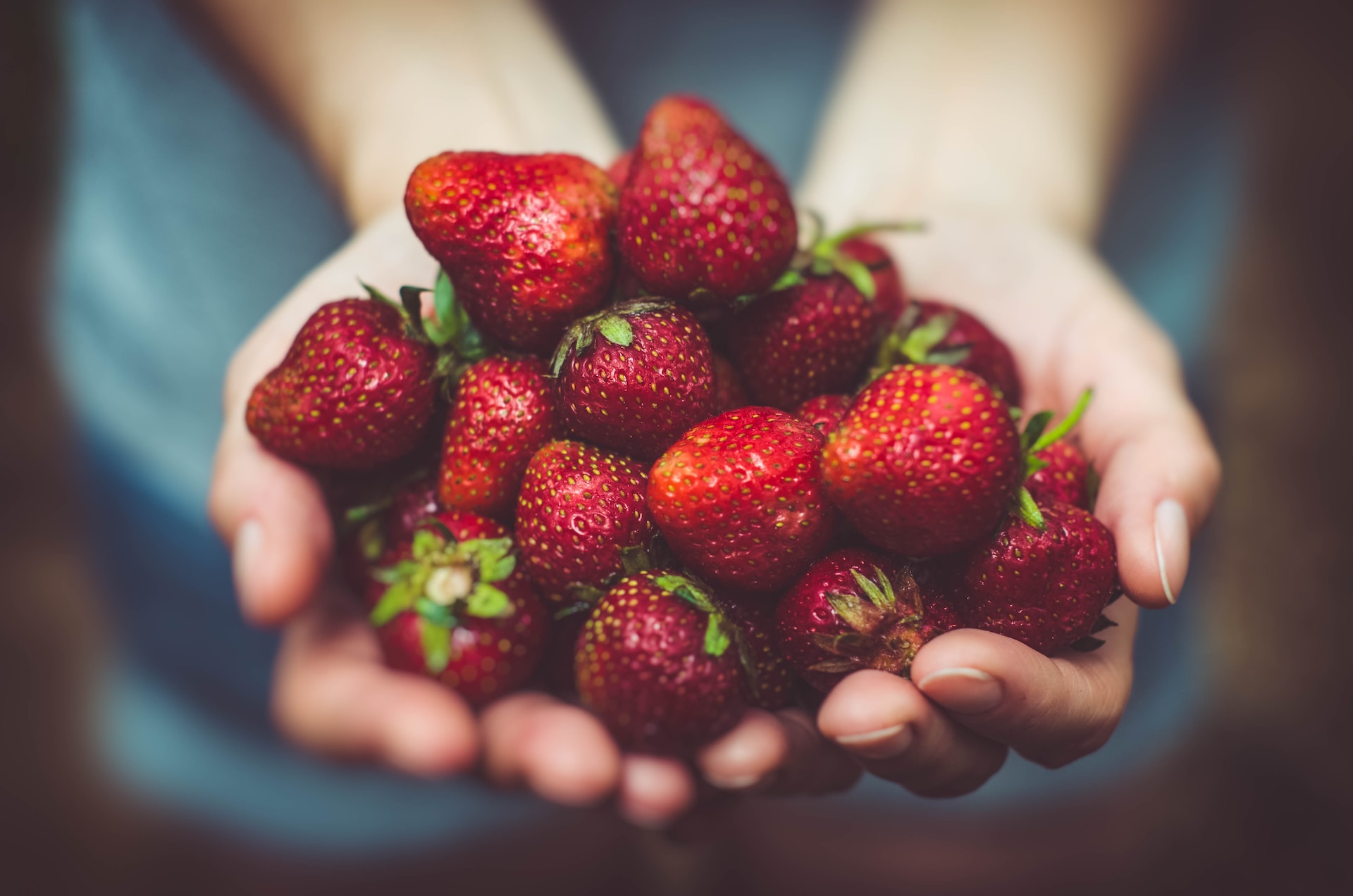 From Farm to Table: Supporting Local Producers